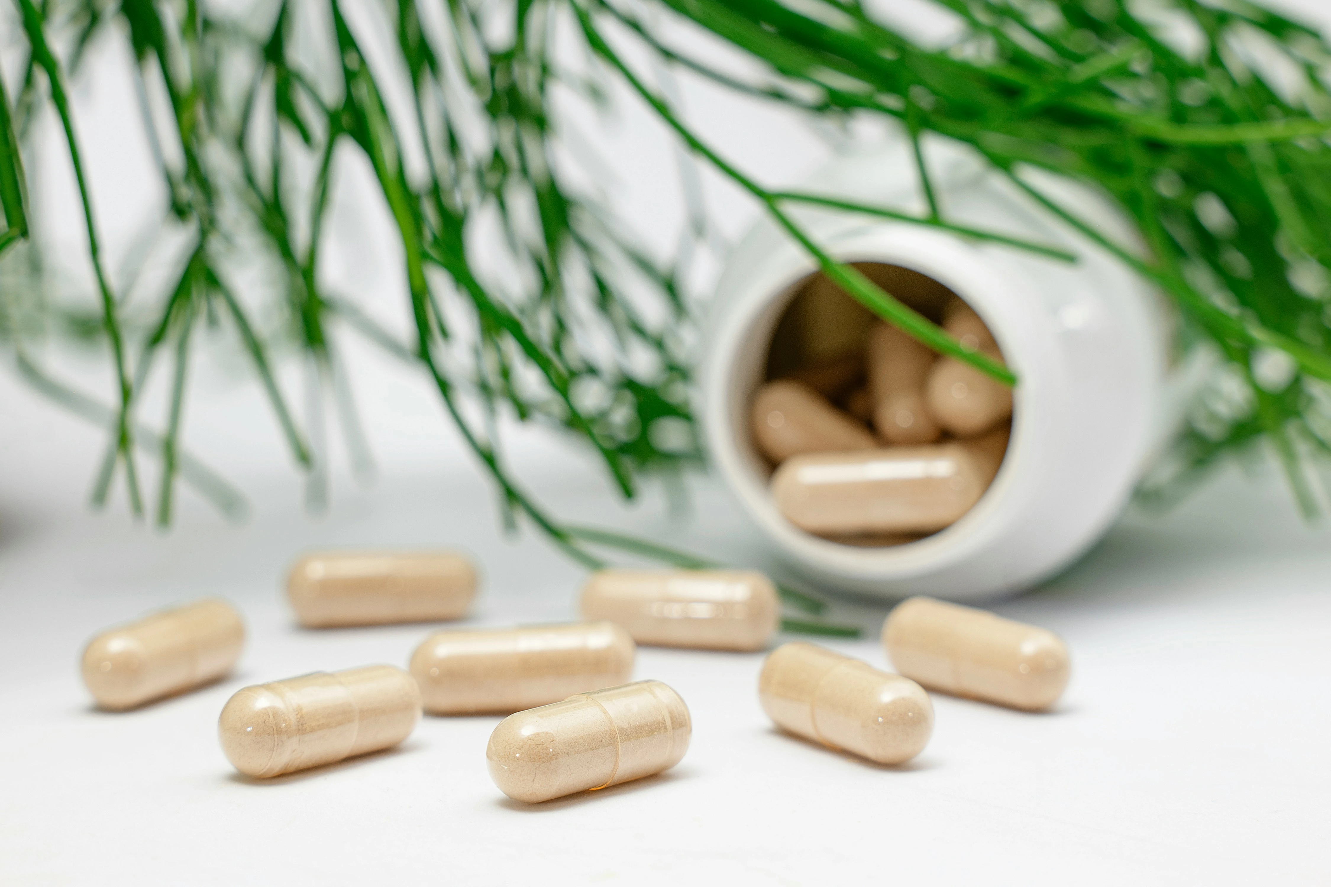 Adults Over 40 Need a Multivitamin