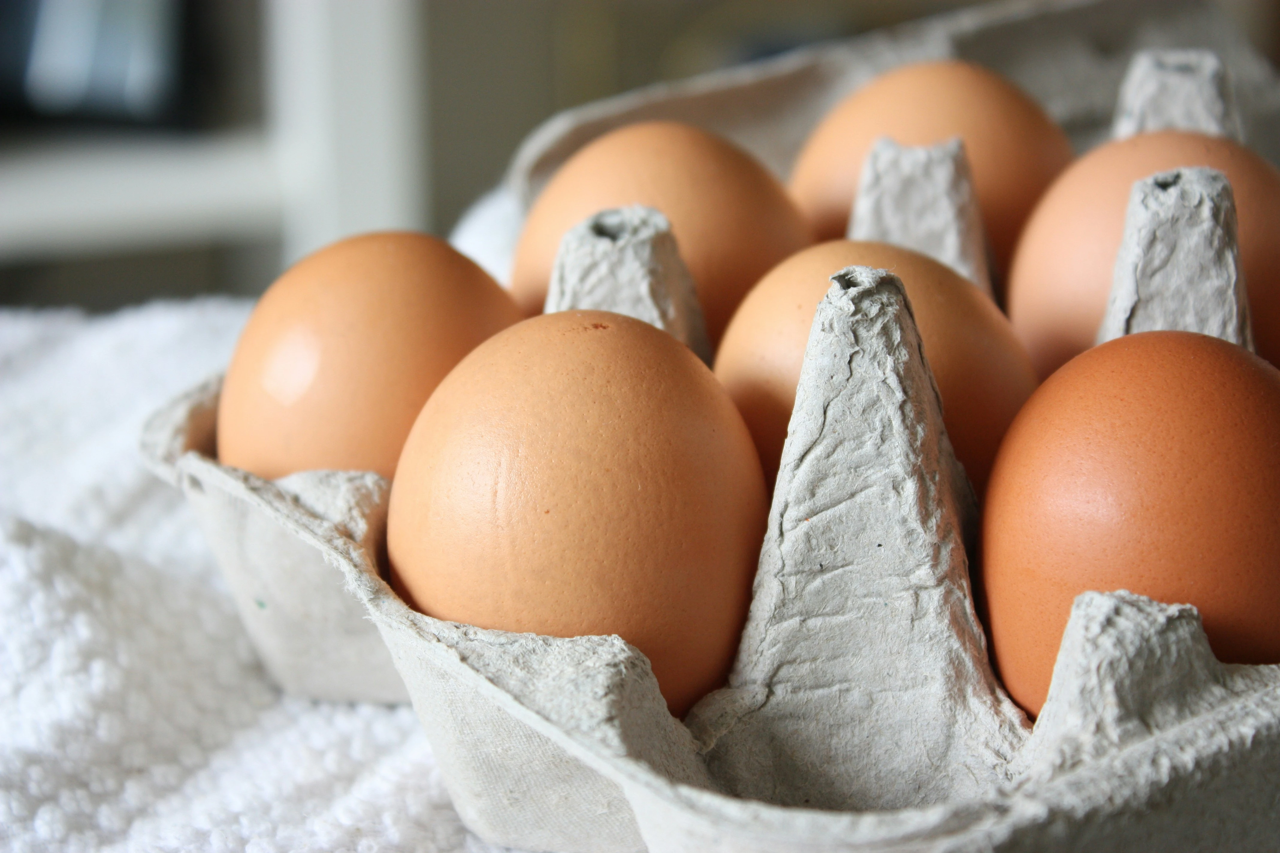 Eggs Support Strength