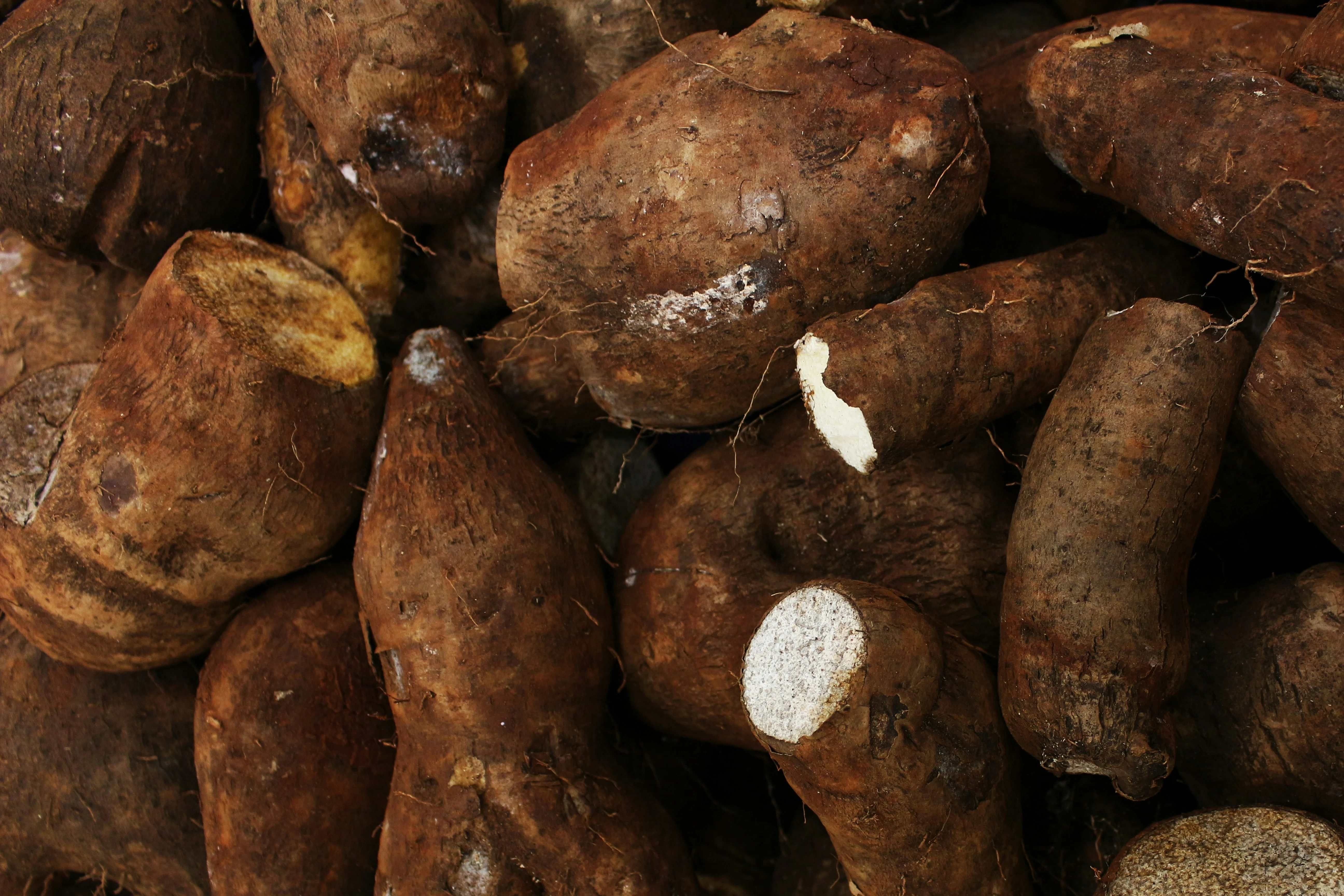 Sweet Potatoes